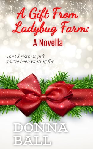 A Gift From Ladybug Farm: A Novella (The Ladybug Farm Series)