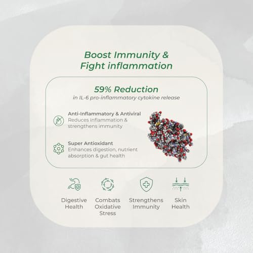 Image of AvestaAyurVAID Inflammation & Immunity Aid Powered by AmlaPure | Boosts Immunity, Fights Inflammation & Supports Gut Health | Natural Bioactive Hydration Drink (Pack of 7) | No Added Sugar, No Preservatives, No Added Colours