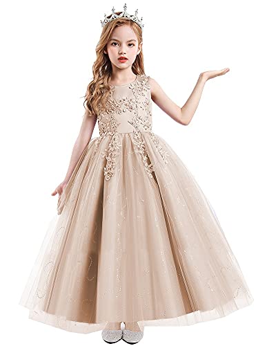 HIHCBF Flower Girls Lace Applique Wedding Sequins Tulle Dress Princess Pageant Communion Birthday Christmas Party Ball Gown3