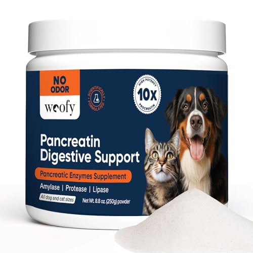 Woofy Pancreatin Digestive Support | Pancreatic Digestive Enzymes | 10x Pancreatin | No Odor | Pancreatin for Dogs and Cats | Pancreatic Enzyme | Great for Pets with EPI | 250 Grams