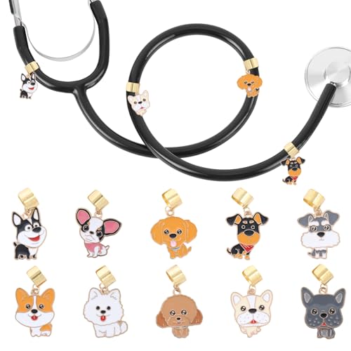 LuneClat �Ō�t�p���f��`���[�� - 10�� ���킢���� ���� �y���_���g ���f�� �`���[�� ��t ��w���p �q���A�N�Z�T���[ �b��X�^�b�t�ւ̃M�t�g��