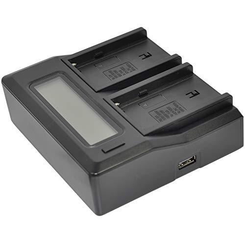 Batterie CGR-D08 pour filmer vos voyages avec chargeur double - 3