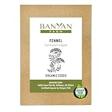 Banyan Botanicals Organic Fennel Seeds – Foeniculum Vulgaris – Grow in Your Home Garden for Fennel Bulb and Seeds – 50 Count – Open Pollinated Non-GMO Easy to Grow