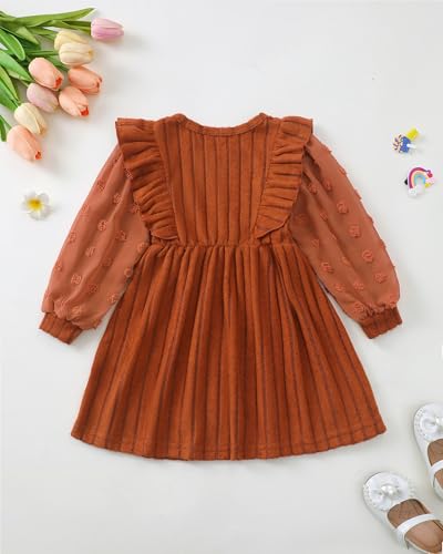 Toddler Girl Fall Dress Ruffle Tulle Long Sleeve Dress Casaul Knit Sweater Dresses Cute Girls Clothes Winter Outfits4