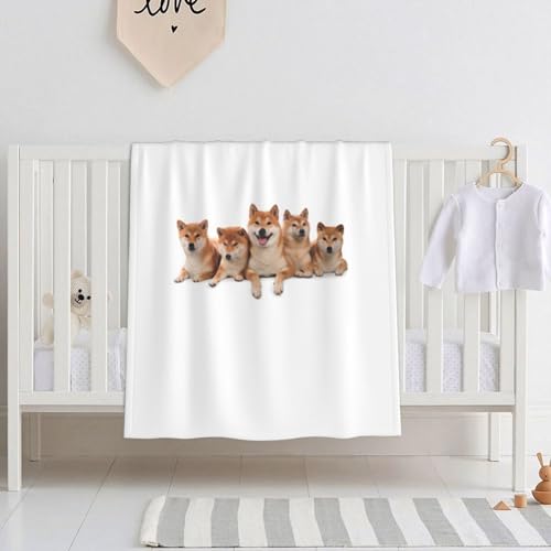 xr[ѕz Č    zCgzc r[uuPbg |ѕz  uPbg ^IPbg ʋC q ۈ牀 [΍ GARpi lGʗp ?蕨 125X150cm