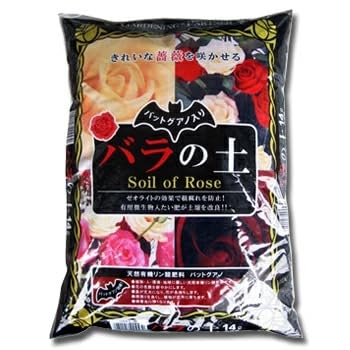 VJ o̓yPSk obgOAmz P