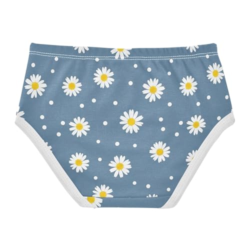 White Daisies Floral Blue Panties for Girl Toddler Girls Underwear Cotton Florals Undies Kids Briefs 2t2