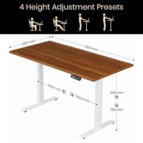 Image of Pulse Electric Height Adjustable Table Standing Desk with 4 Memory Presets| 1200 X 750 mm (25mm Walnut Top & White Frame)| 80KG Wt Cap| 3 Year Warranty| Adaptor Hanger, Headphone & Cup Holder
