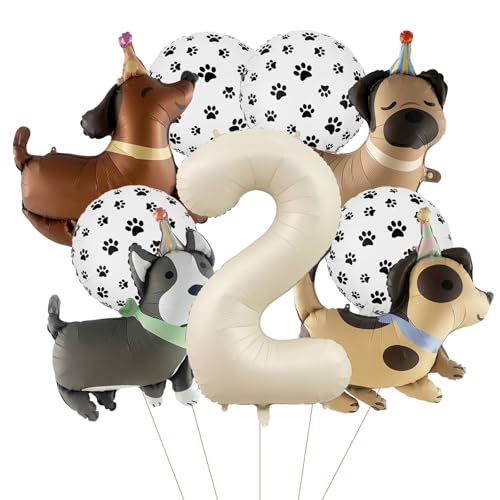 o[p[eB[fR[VA9 q a  zCo[ ̒ae[}p[eB[pi(2)