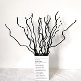 Vielseitig: Mit einer Länge von 58,4 cm können diese Zweige in Vasen, Tafelaufsätzen, Kränzen und vielem mehr verwendet werden.