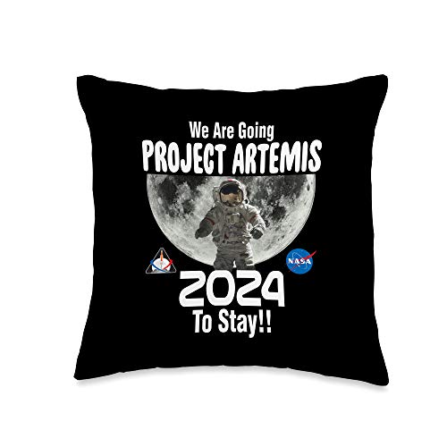 space pillow nasa
