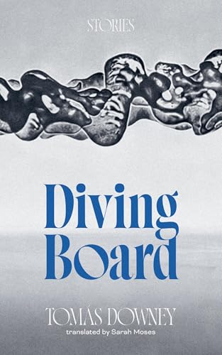 Diving Board view 2