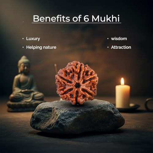 Image of Divine Hindu Original 6 Mukhi (Six Face) Indonesia Rudraksha | Chhe Mukhi Rudraksh Bead for Meditation, Protection & Spiritual Growth | Natural Rudraksha for Men & Women | Prayer Bead for Success