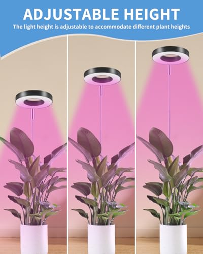 Azyvum Pflanzenlampe LED, Vollspektrum Pflanzenlicht für Zimmerpflanzen, 3 Lichter Modi und 10 Helligkeit, Höhenverstellbares LED- Pflanzenwachstumslampe mit Zeitschaltuhr 3/9/12 Std mit USB Adapter