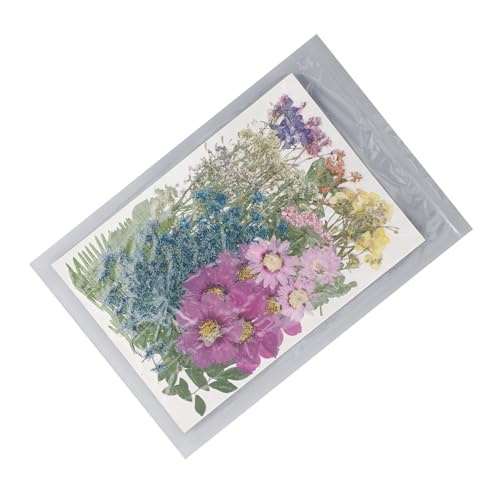 Conjunto de Material de Flor Seca, Folhas Secas Prensadas, 110 Peças, Cores Brilhantes para Envelope