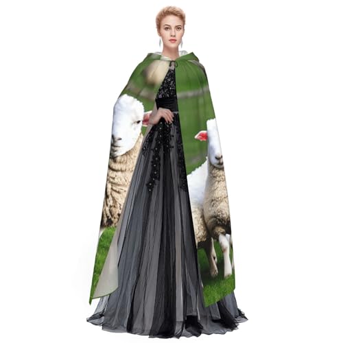 Cape à capuche motif mouton pour déguisement magique et fantastique - 4