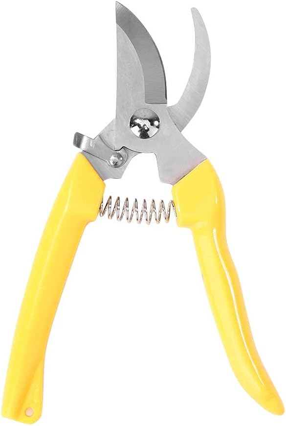 Pruning Shears Garden Scissors Grafting Tool Non-Slip Handle Tree Trees Flowers Branches for Trimmers