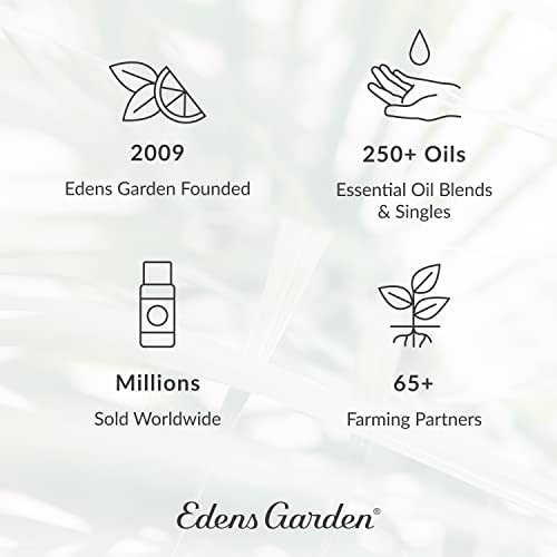 Edens Garden Bergamot Essential Oil, 100% Pure Therapeutic Grade (Undiluted Natural/Homeopathic Aromatherapy Scented Essential Oil Singles) 5 Ml #TOP2