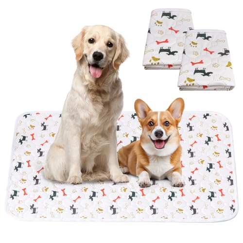 Para Sora 􂦂 ybgV[c L p 2Zbg(60×45cm)  ~ h ybg}bg  z L ybgV[c ld\ Rh~  JԂgp\ ۂƐ􂦂 (IW)^ ^p