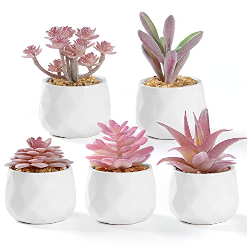 LOMOHOO Lot de 5 plantes succulentes artificielles dans des pots en céramique blanche - Pour bureau, salon, chambre à coucher, rebord de fenêtre, bureau, décoration de la maison Cover