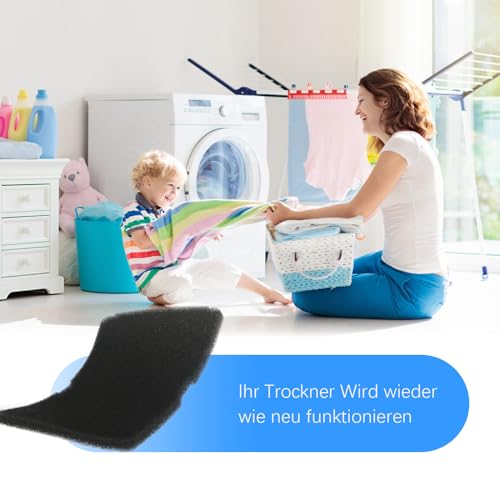 3 Stück Trockner Filter 2964840100 für Beko/Grundig/Elektra Bregenz/Blomberg/Wäschetrockner Wärmepumpentrockner Ersatzteile(240X155X10MM)