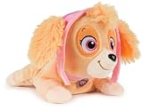 PAW PATROL