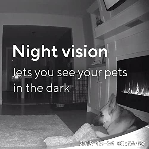 WYZE Cam Pan 1080p Pan/Tilt/Zoom Indoor Pet Monitoring Camera for Dogs & Cats Baby Monitor with WYZE 32GB MicroSD Card… - Image 7