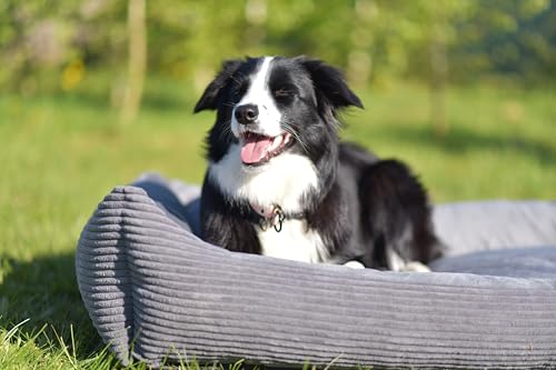 4L Textil Molly Katzenbett flauschig Katzenkörbchen Katzensofa Kuscheliges Hundebett kleine Hunde Katzenkorb waschbar Hundekorb für Welpen Grau (60x40 cm, Grau)