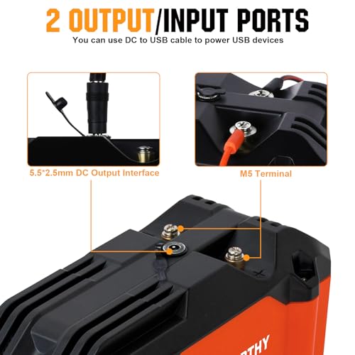 ECO-WORTHY Portable 12V Lithium Battery, 12.8V 20Ah Lithium Iron Phosphate DEEP CYCLE BATTERY, Built-in BMS, 4000+ Cycles, Perfect for Outdoor Camping Fishing RV Marine Trolling Motor Fishfinder