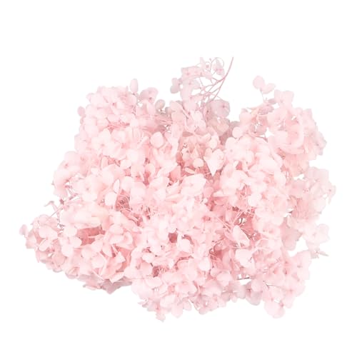 Pétalos de flores hortensia preservados 20g rosa miniatura 1