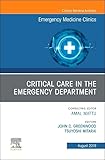 Critical Care in the Emergency Department, An Issue of Emergency Medicine Clinics of North America (Volume 37-3) (The Clinics: Internal Medicine, Volume 37-3)