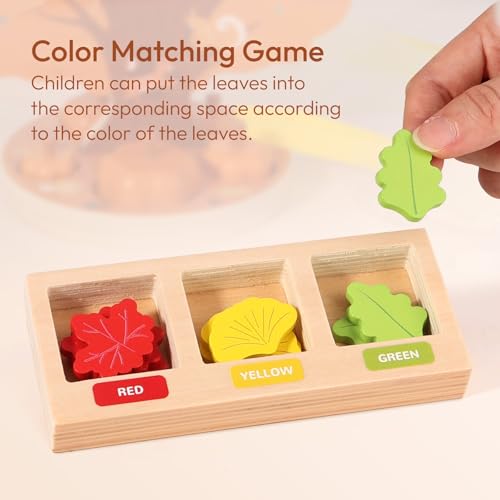 Image of Pumpkin Picking Magnetic Tree Toy, Montessori Toys for 3 4 5 6 Year Old Kid