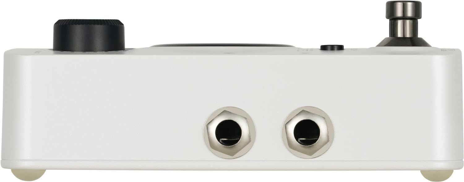 MOOER GL100