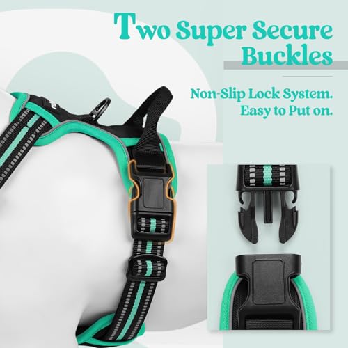 Image of rabbitgoo Dog Harness No Pull with 2 Leash Clips, Adjustable Soft Padded, Reflective Oxford No Choke Pet Vest with Easy Control Handle for Large Dogs, Black & Turquoise, XL