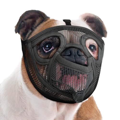 10 Best Muzzle For Bulldogs