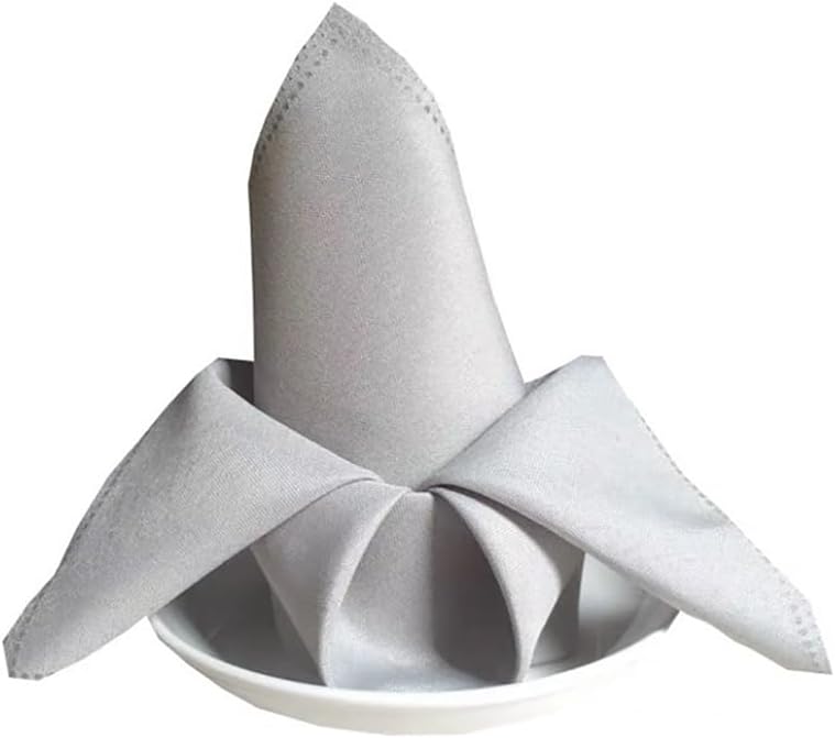 Dinner Cloth Napkin Set 50, 19 x19 Inch Cloth Napkin, Washable, Polyester Fiber Cloth Napkin,Easy to Care for Restaurant, Wedding, Hotel, Party, Festival(Silver Gray)