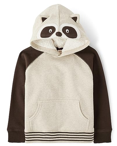 Image of Gymboree Boys' And Toddler Boys Long Sleeve Hoodie Sweatshirt