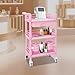 All-in-One Beauty Cart with Locking Wheels & Drawer | 3-Tier Heavy-Duty 176lbs Rolling Storage Organizer for Salon, Spa, Nail Tech, Clinic, Home | ABS Mobile Utility Trolley (Pink)