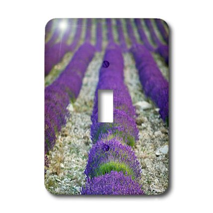 Interrupteur simple décoratif pour remplacer une plaque murale blanche classique - 2