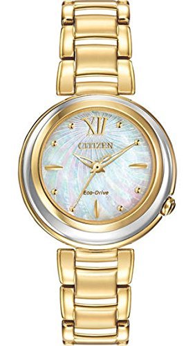 Citizen Stainless Steel Analog Champagne Dial Womens Watch-Em0334-54D, Band Color:Gold (B078S8471T) Amazon Price History, Amazon Price Tracker