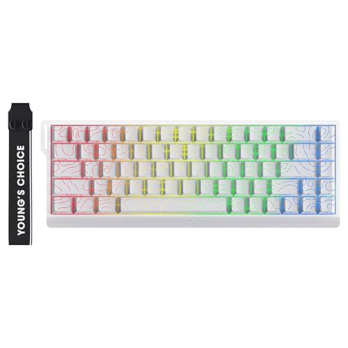 Image of MCHOSE ACE 68 60% Mechanical Gaming Keyboard Wired Rapid Trigger Hall Effect Keyboard Magnetic Switch Hyper-Fast 8000Hz Adjustable Actuation, Hot Swap, RGB PC MAC Laptop (White Topographic Ice Rhino)