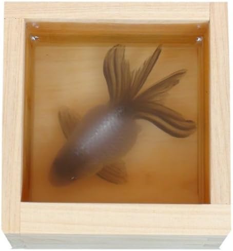 Amazon 樹脂金魚絵 手書き 現代アート アクリル樹脂 ハンドメイド 金魚絵 Resin Goldfish 青文酒 置物 オブジェ オンライン通販