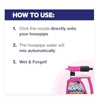 Wet & Forget Rapid Application, Ready-to-Use Mould, Lichen & Algae Remover, Black Spot Remover, Outdoor Cleaner for Patio Slabs, Driveways & Roofs, Bleach Free, 2L, Packaging May Vary