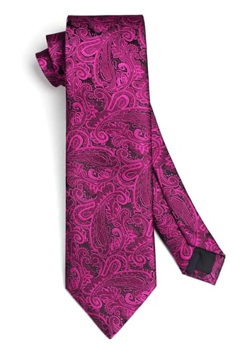 Image of HISDERN Ties for Men Paisley Tie and Pocket Square Woven Classic Floral Mens Ties Handkerchief Set Wedding Party Necktie