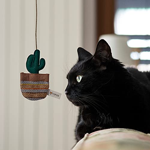 Image of BarkButler x Fofos Cactus Austin Cat Teaser Toy|US Grade Catnip Inside|for Kittens+Older Cats|Durable Wooden Stick+Robust Rope