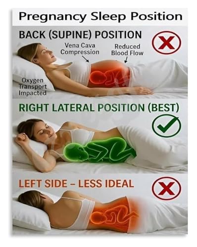 Expecting Mother Sleep Guide Poster Safe Positions for Each Stage Canvas Wall Art for Nursery or Gift Idea(Unframed,16x24inch(40