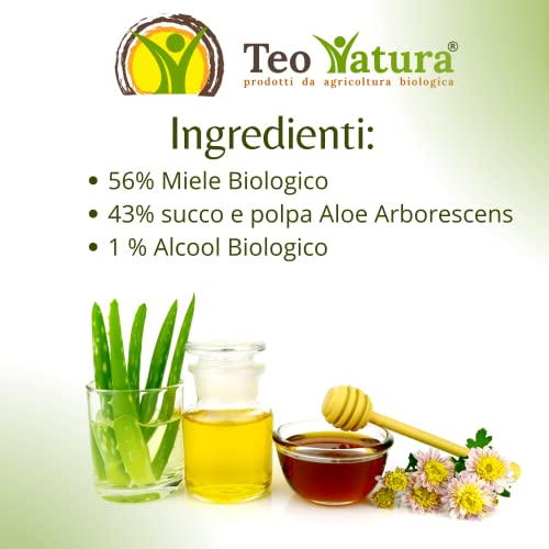Teo Natura Sinergia 1 – Integratore da Bere - Ricetta Classica di Padre Zago con Aloe Arborescens, Miele e Alcool Biologico - 500 ml (Confezione da 1)