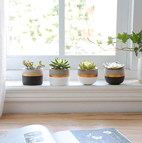 Mkouo 8cm Cement Plant Pots Indoor Succulent Planter Modern Concrete Cactus Flower Pot Small Clay Indoor Herb Window Box Container for Home and Office Decor, Set of 4(Plant Not Included) - Cosy Home Interiors Mkouo 8cm Cement Plant Pots Indoor Succulent Planter Modern Concrete Cactus Flower Pot Small Clay Indoor Herb Window Box Container for Home and Office Decor, Set of 4(Plant Not Included) - Image 2
