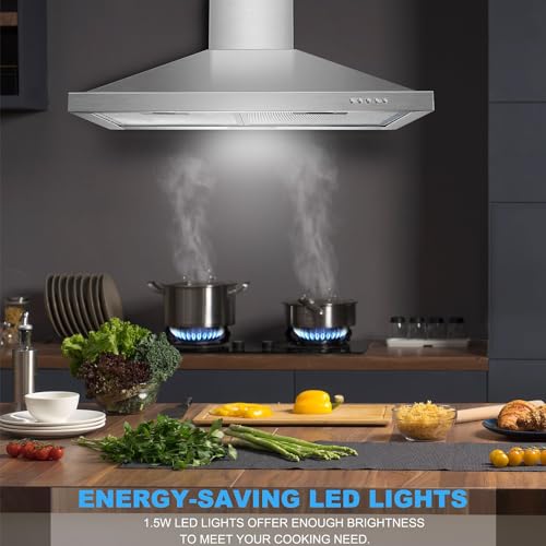 Wall Mount Range Hood 30 inch with Ducted/Ductless Convertible Duct, Stainless Steel Chimney-Style Over Stove Vent Hood with LED Light, 3 Speed Exhaust Fan, 450 CFM