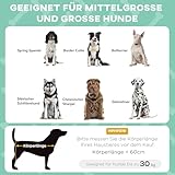 PawHut Erhöhtes Hundebett mit Baldachin, Haustierbett, Outdoor Hundeliege mit Dach, Atmungsaktiv, für große Hunde Hellgrau Oxford 91 x 76 x 89 cm
